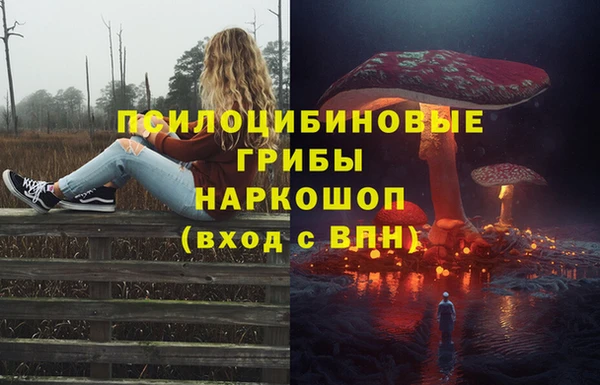дурь Нефтегорск