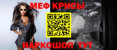 тгк Бийск