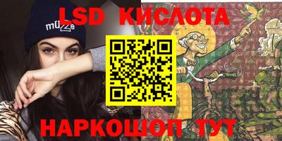 тгк Бийск