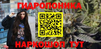 тгк Бийск