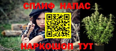 тгк Бийск
