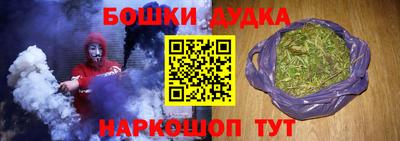тгк Бийск