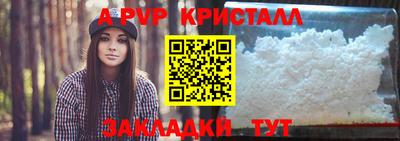 тгк Бийск