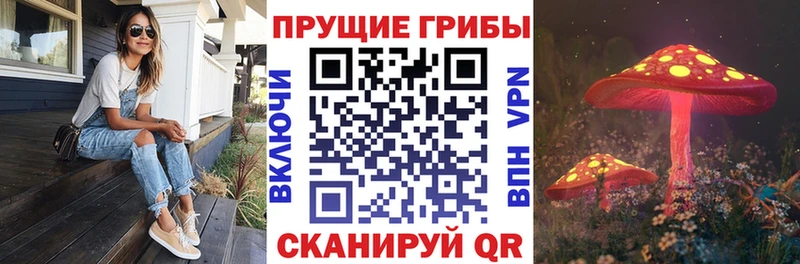 Галлюциногенные грибы прущие грибы купить наркоту Кирово-Чепецк