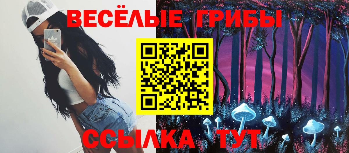 Псилоцибиновые грибы Magic Shrooms  Псилоцибиновые грибы Psilocybine cubensis  Кирово-Чепецк  Вход с VPN 
