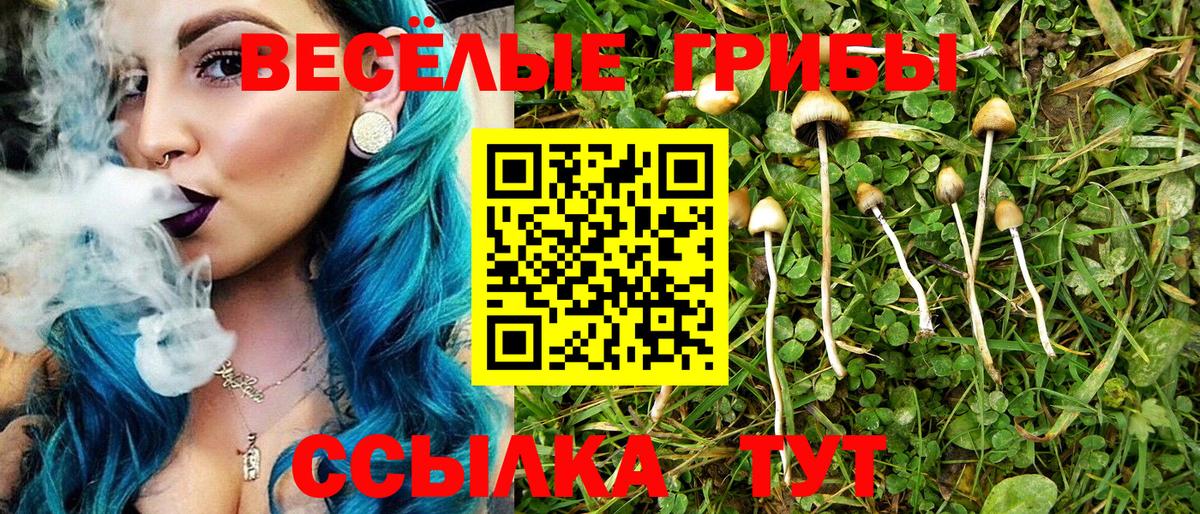 Галлюциногенные грибы мухоморы Кирово-Чепецк